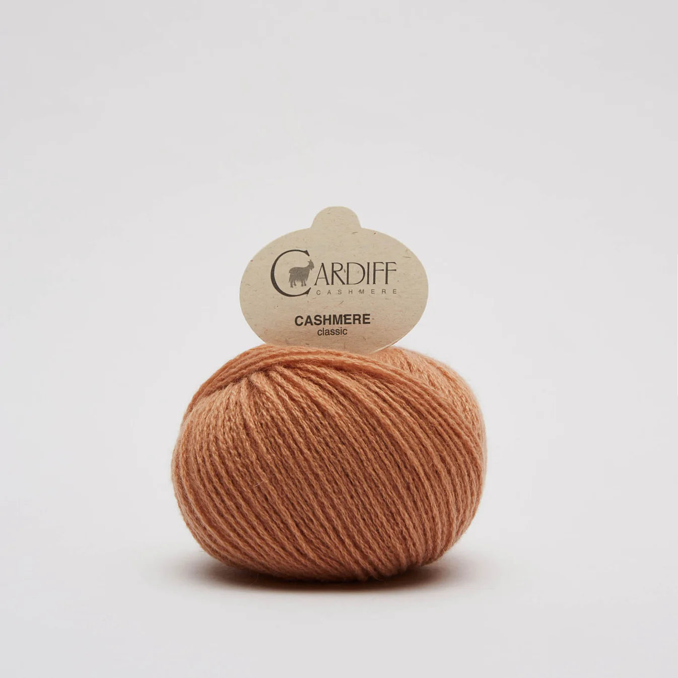 Cashmere Classic: Loop (715)