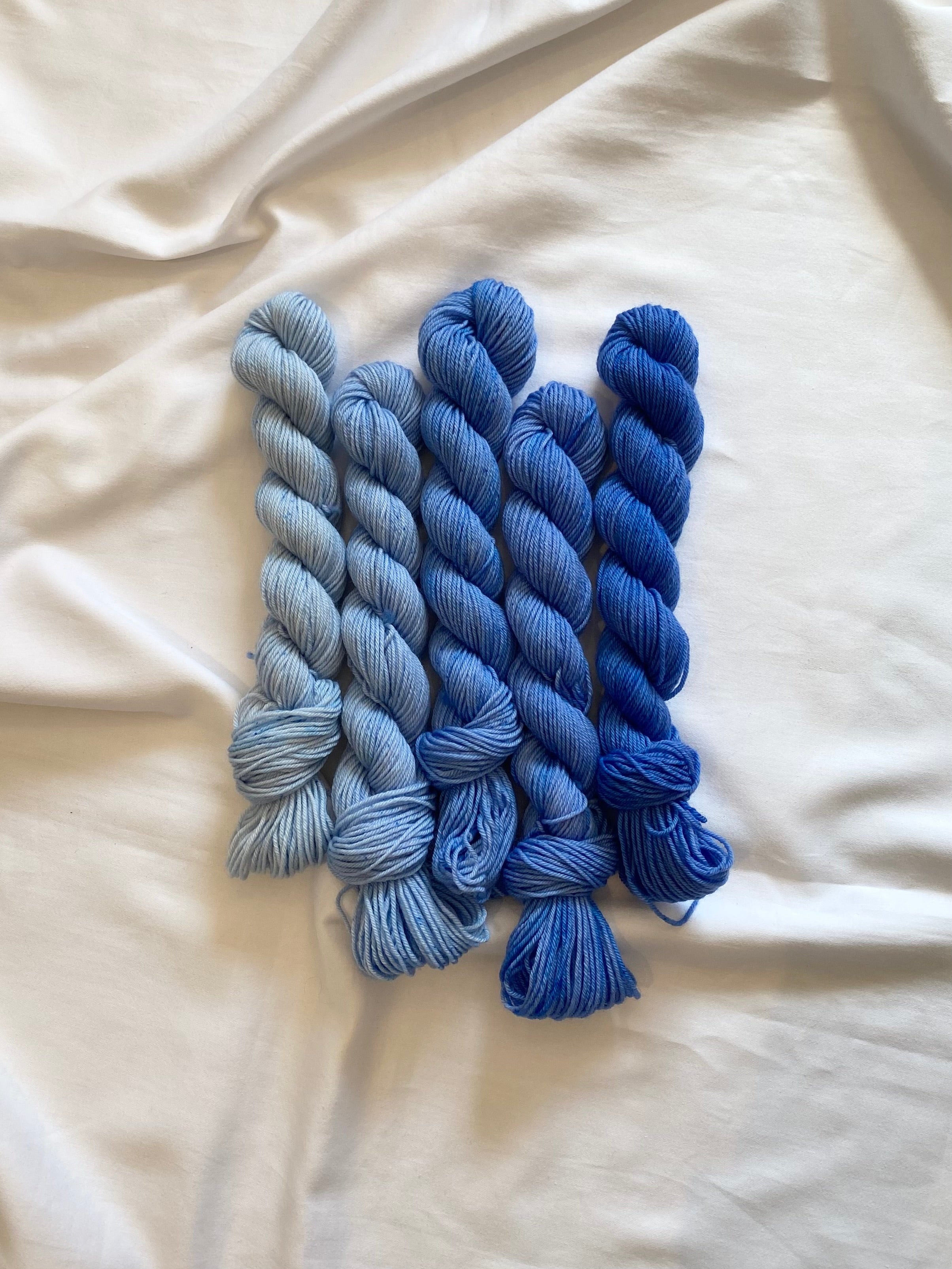 Merino Minis: Blueberry Hill