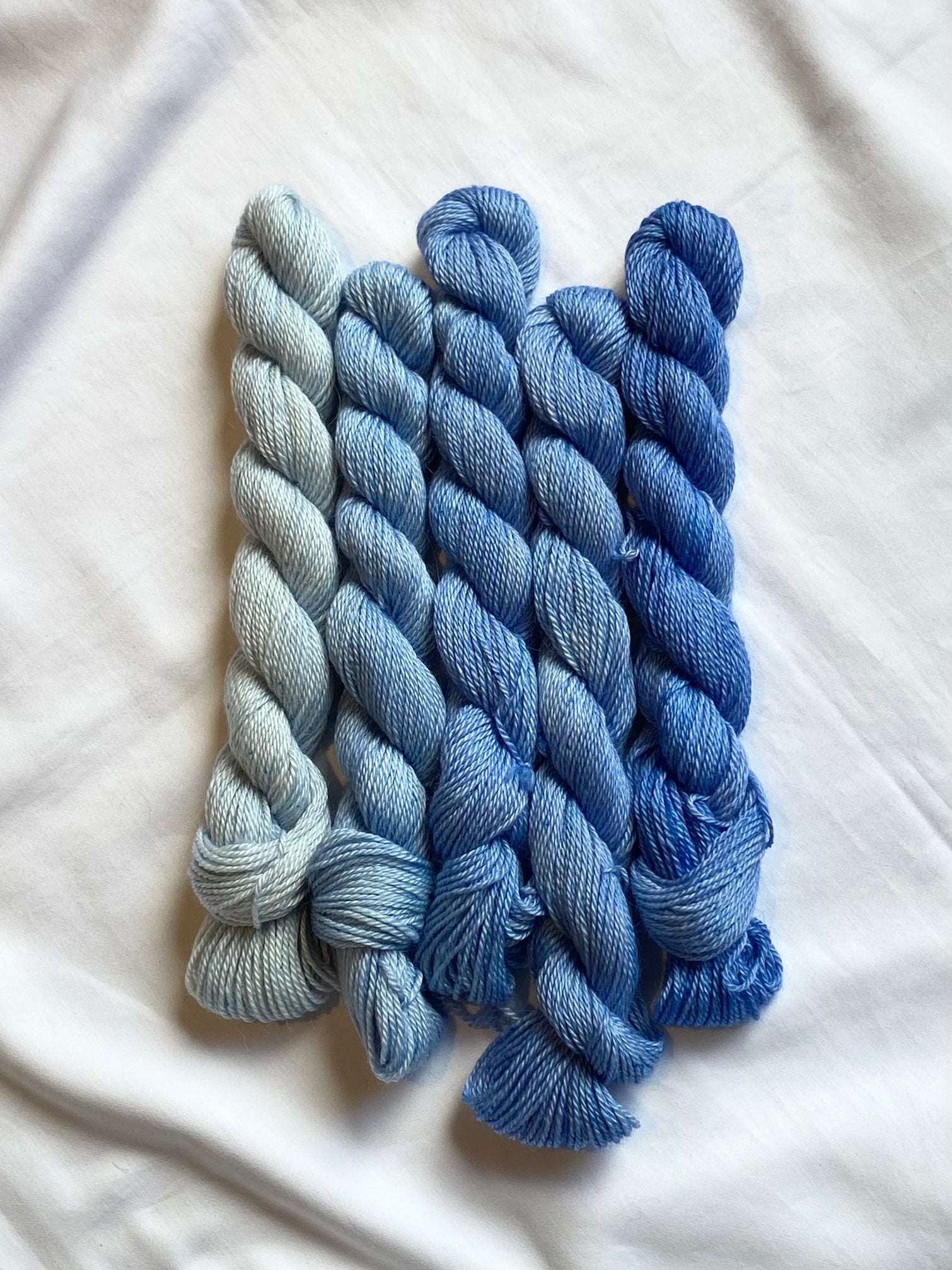 BASC Minis: Blueberry Hill