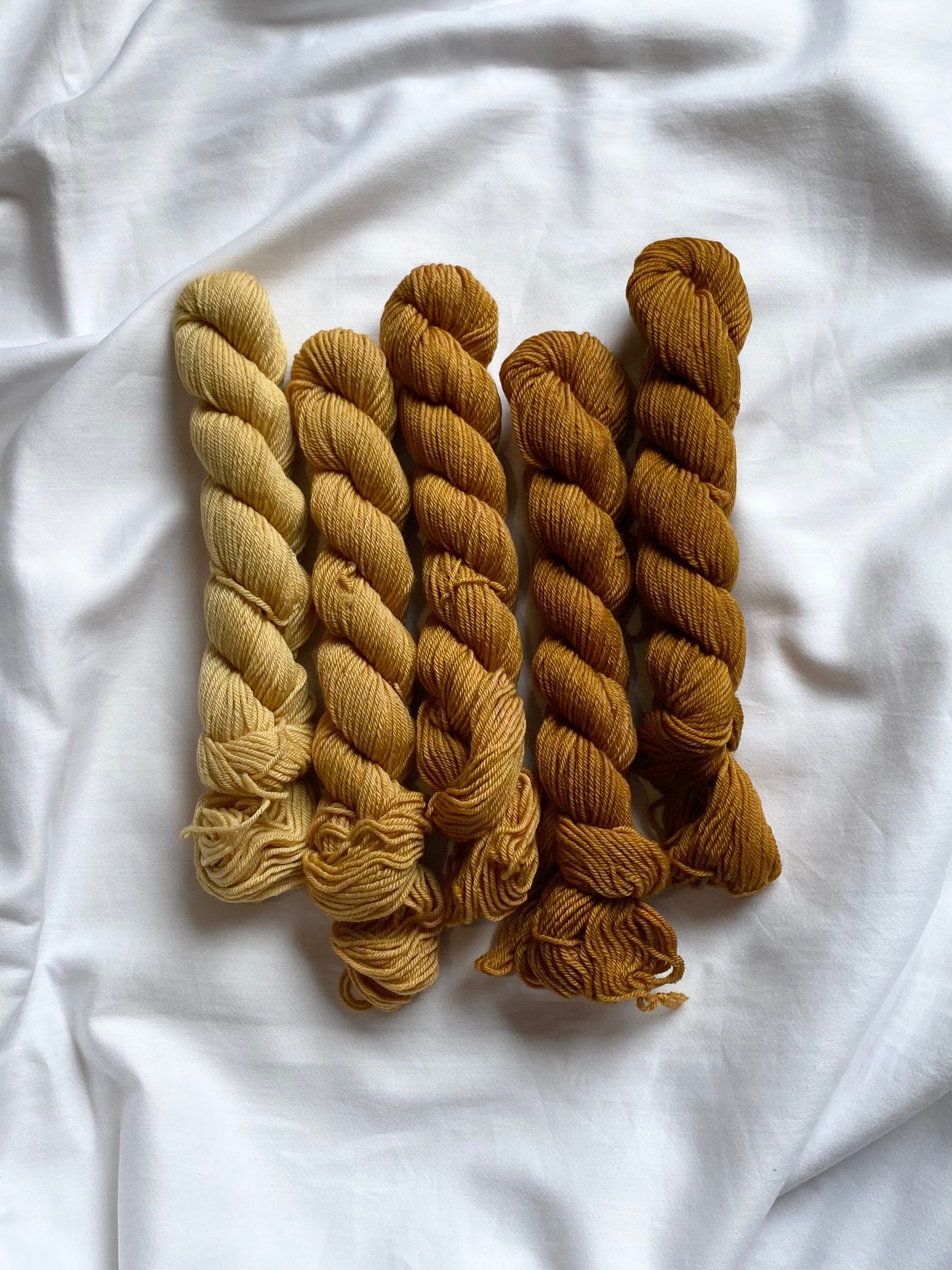 Merino Minis: Gold Digger