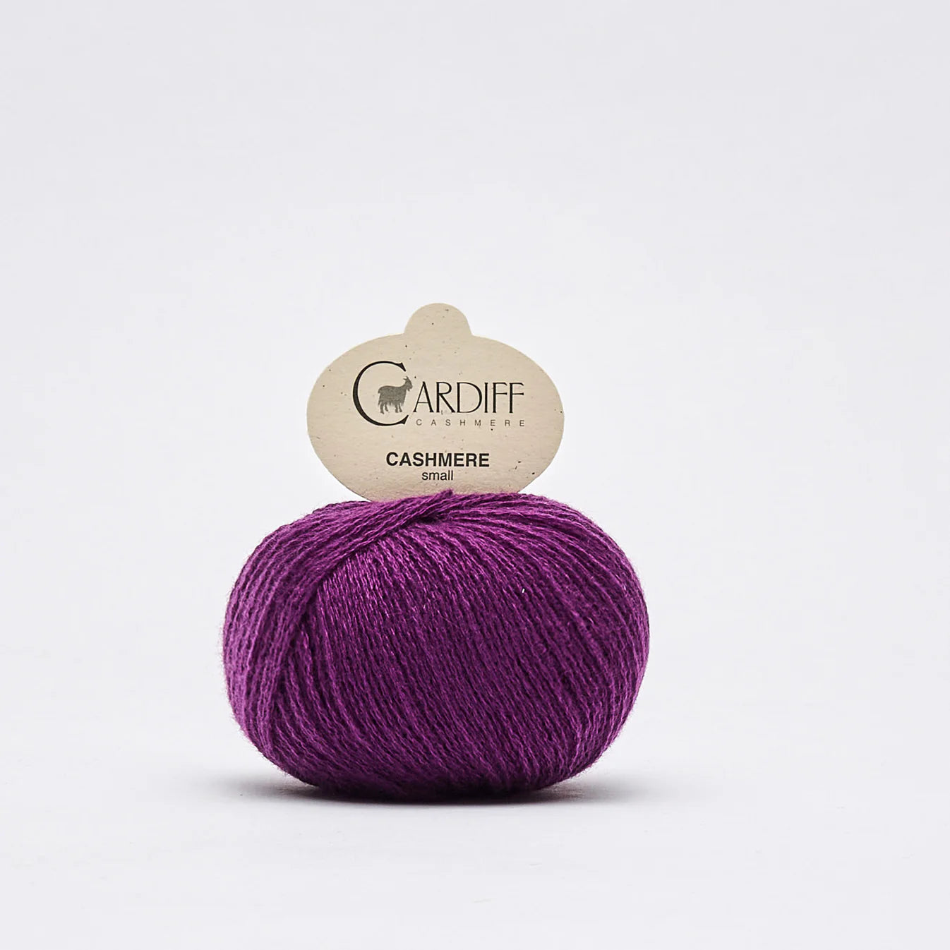 Cashmere Small: Jasper (695)