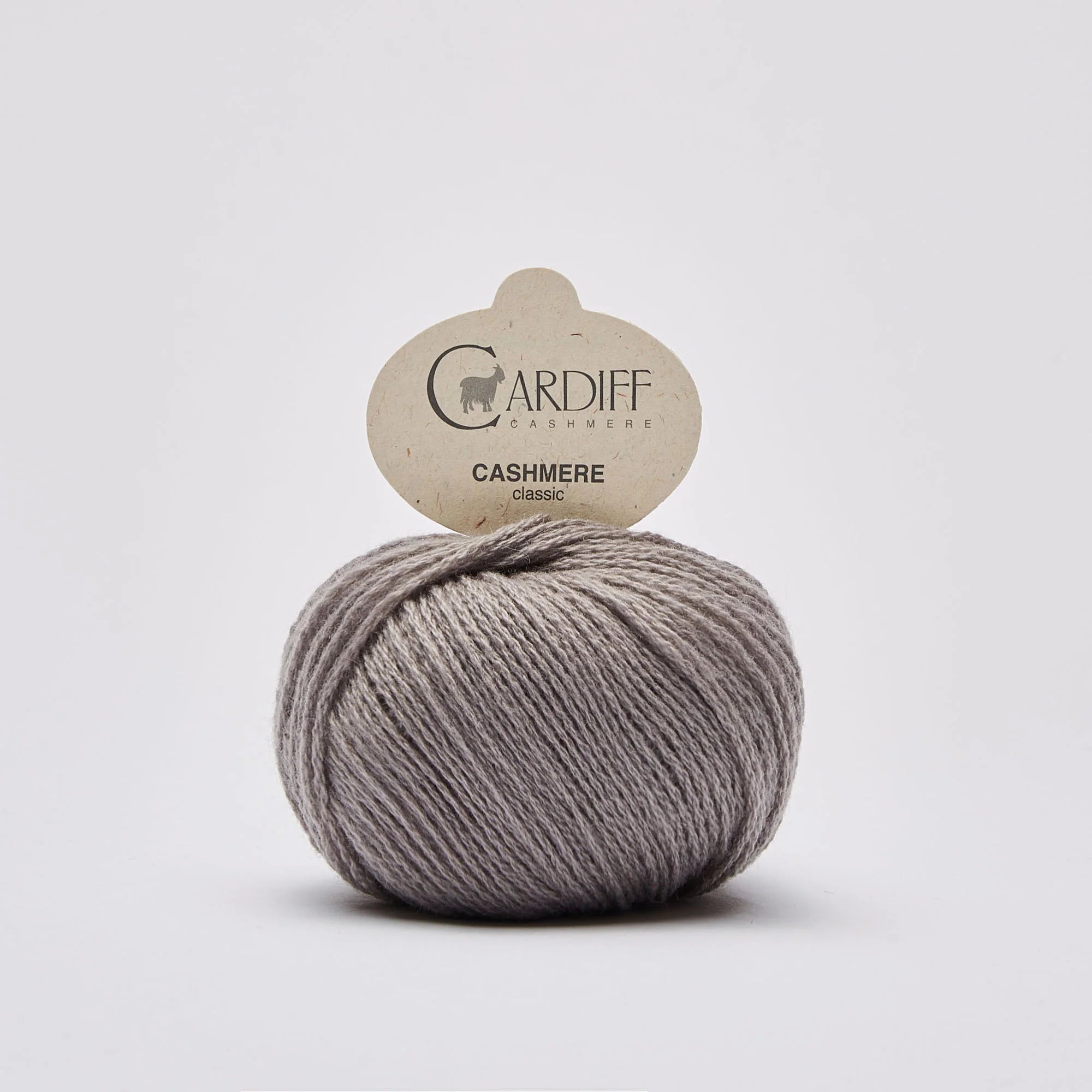 Cashmere Classic: Galileo (532)