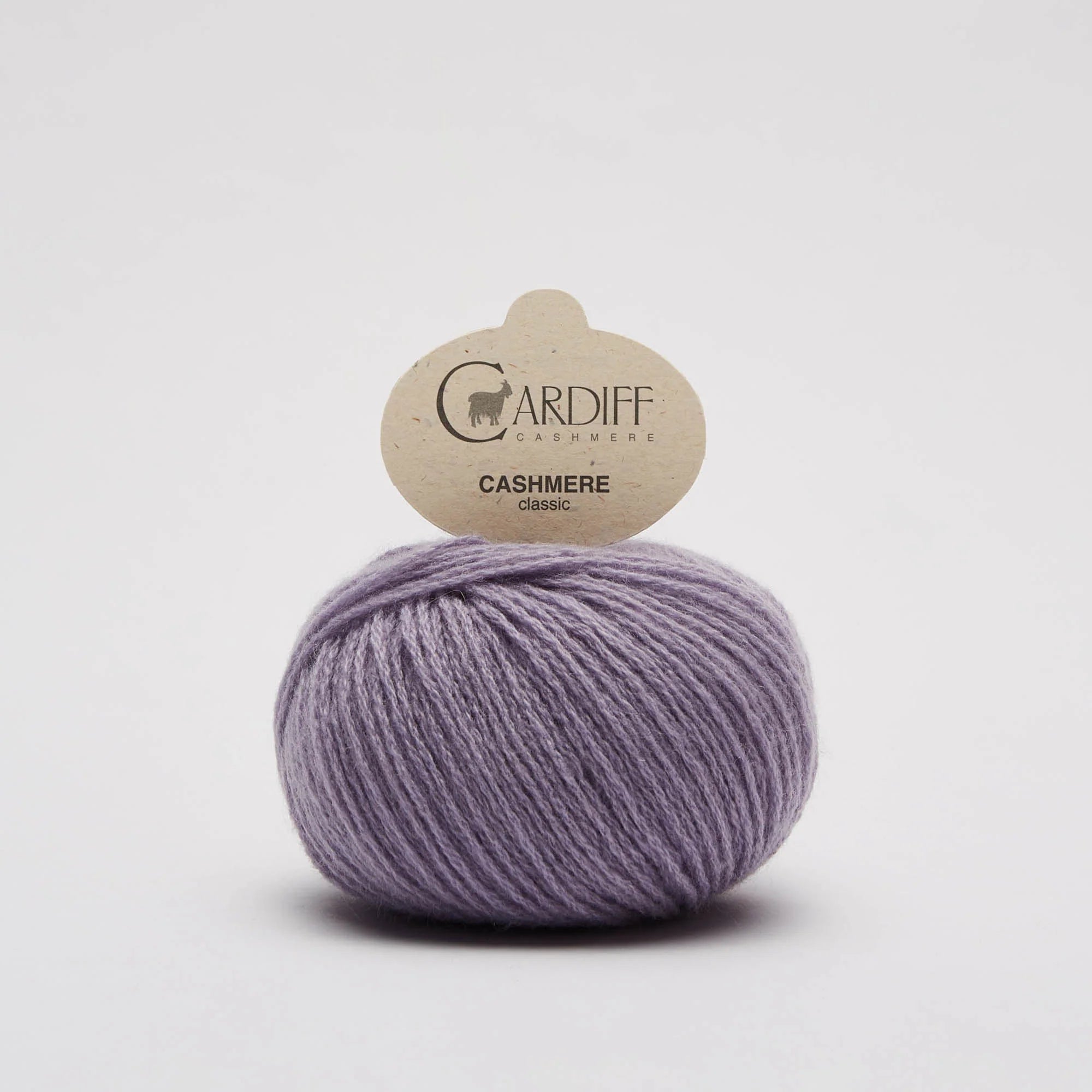 Cashmere Classic: Fuji (710)