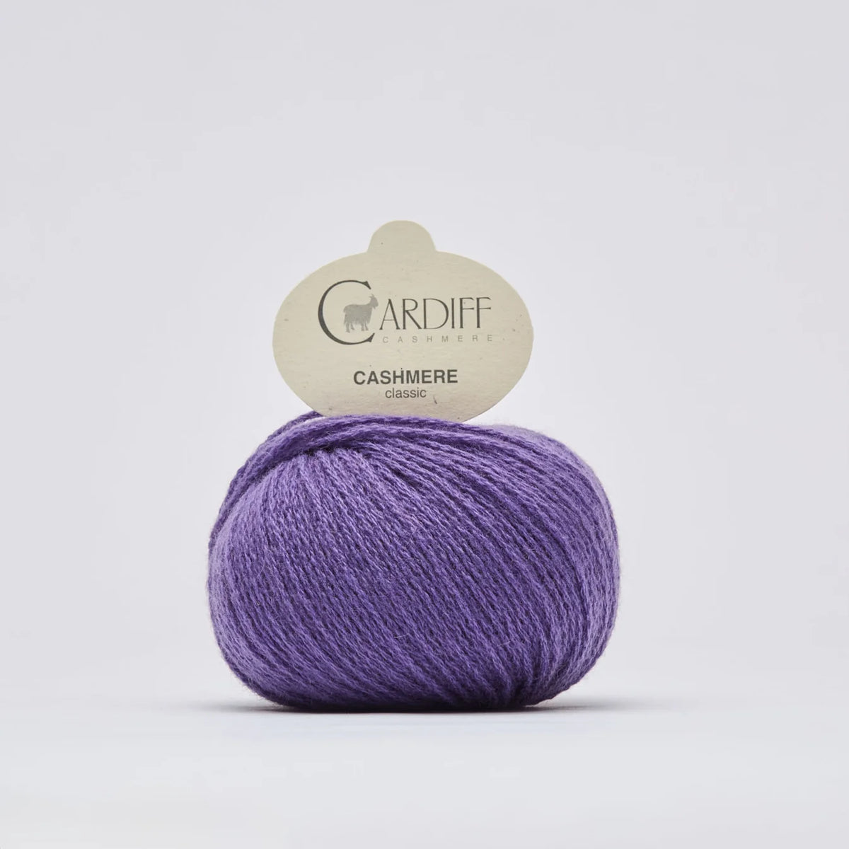 Cashmere Classic: Viola (734)