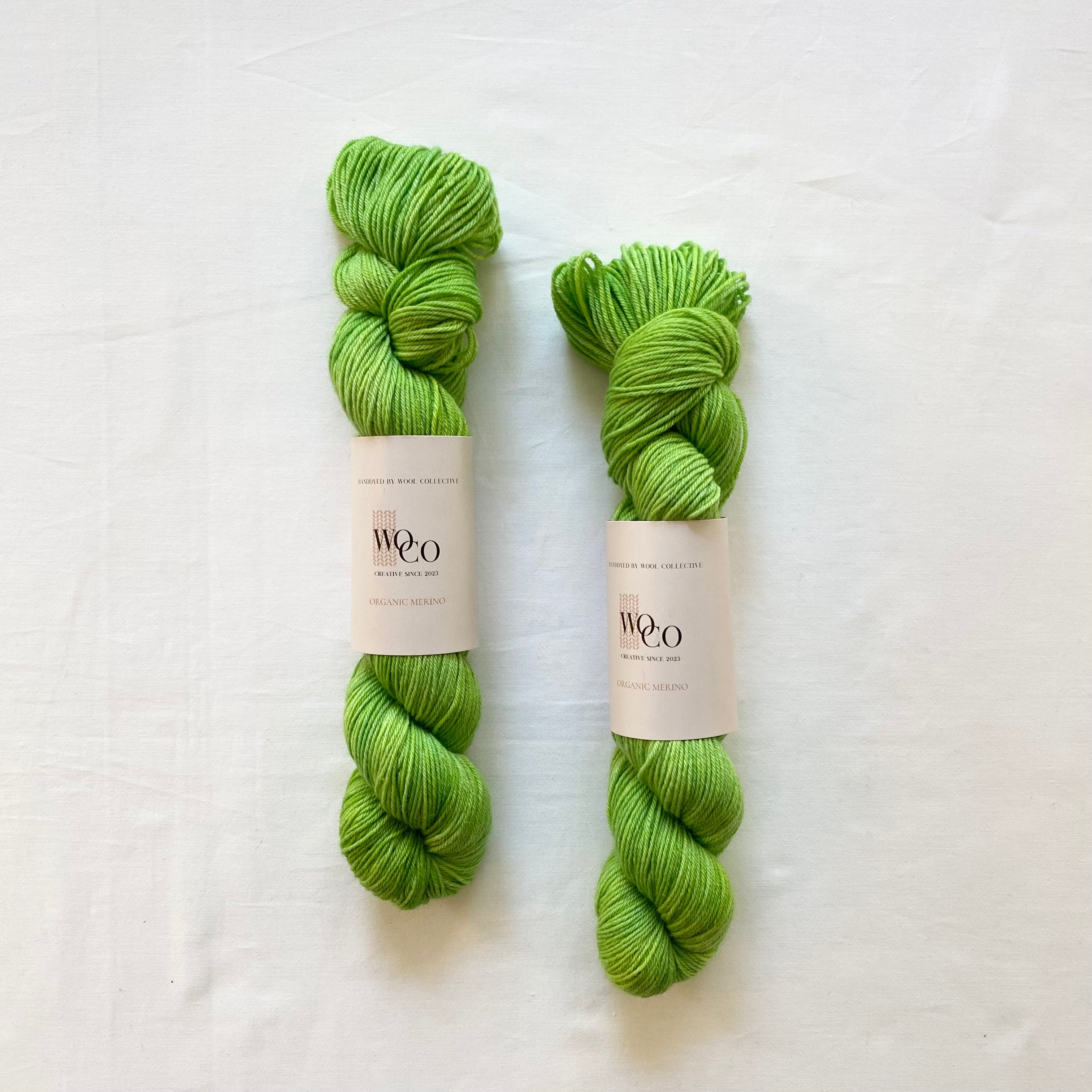 Organic Merino: Sassy Shamrock