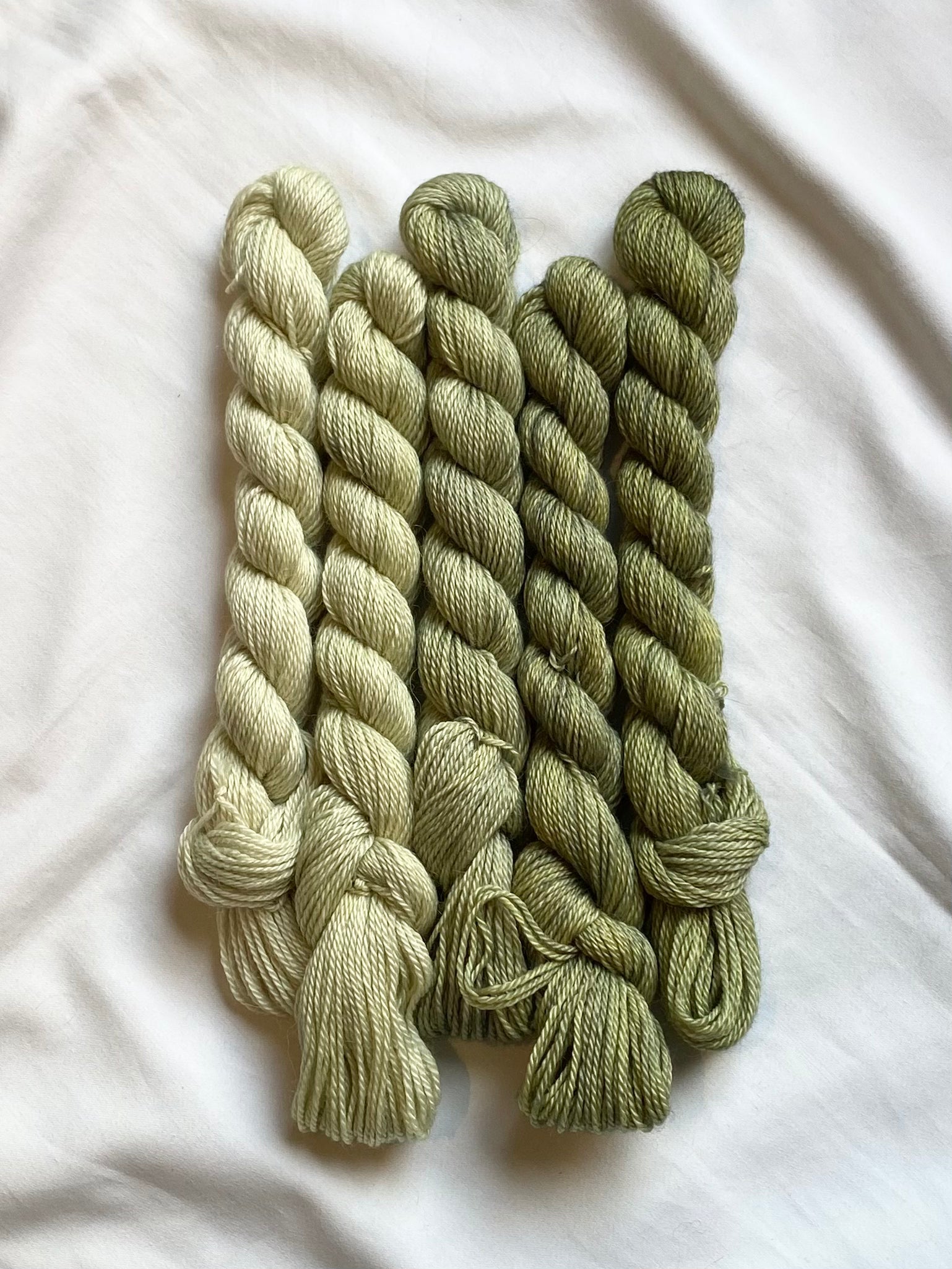 BASC Minis: The Sage