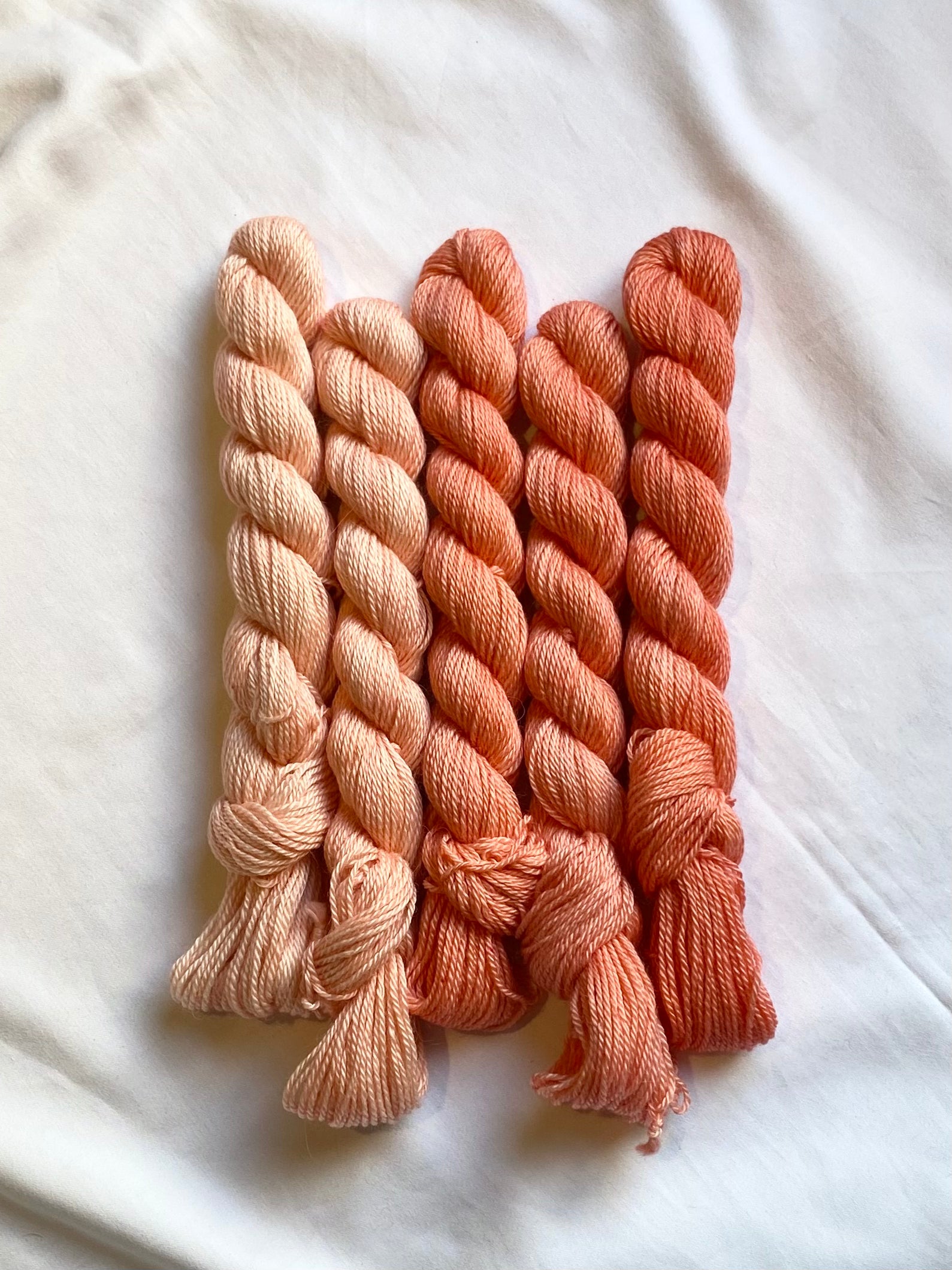 BASC Minis: Fields of Coral
