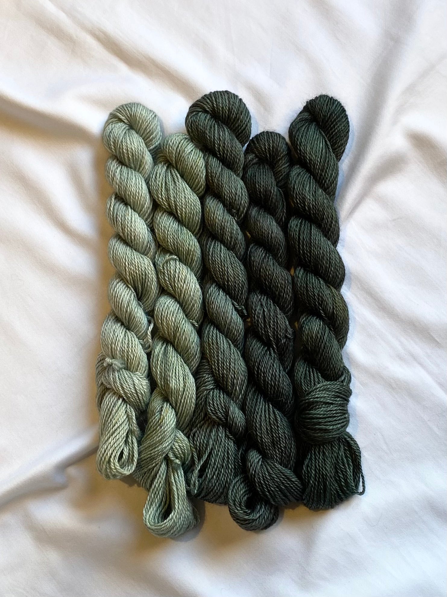 BASC Minis: Evergreen