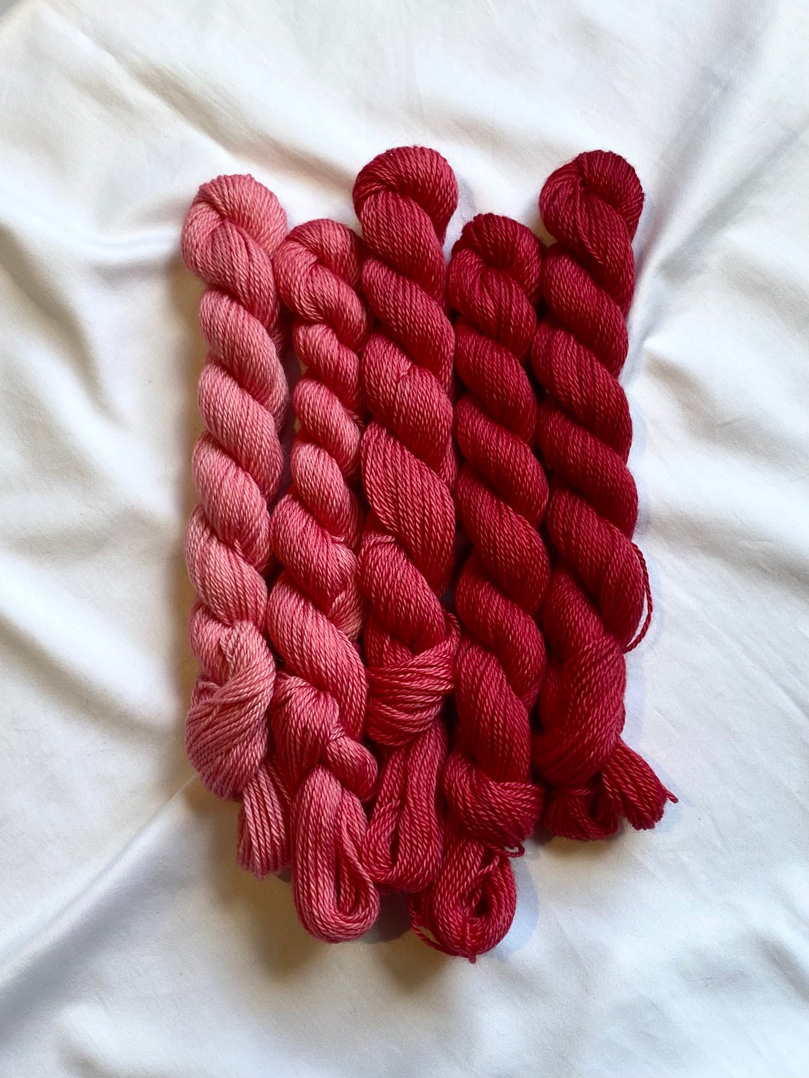 BASC Minis: Berry Bomb