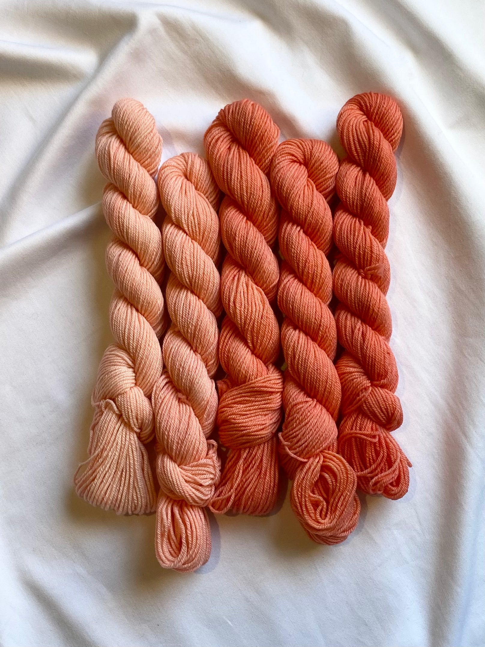 Merino Minis: Fields Of Coral