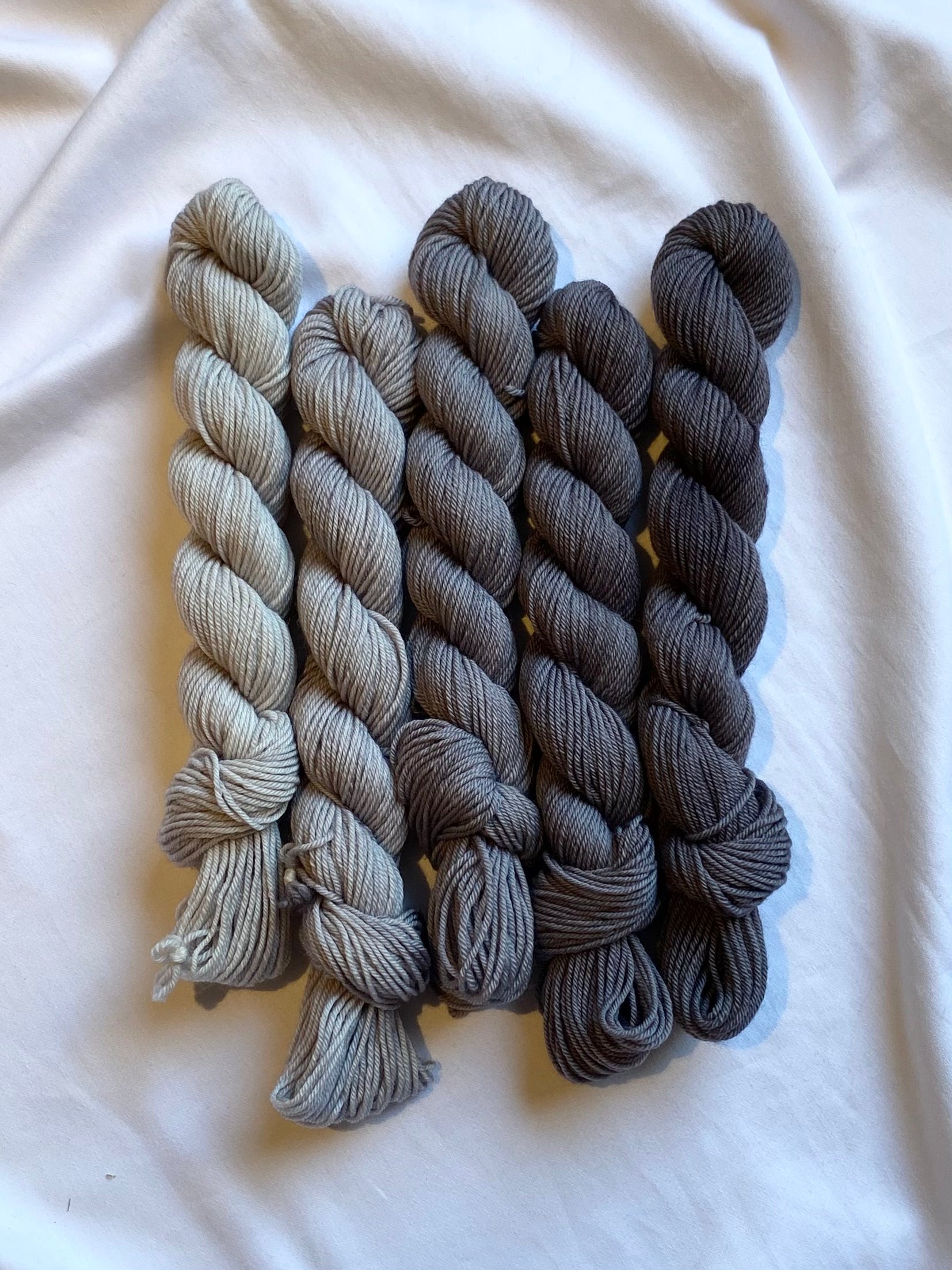 Merino Minis: Grey Seal