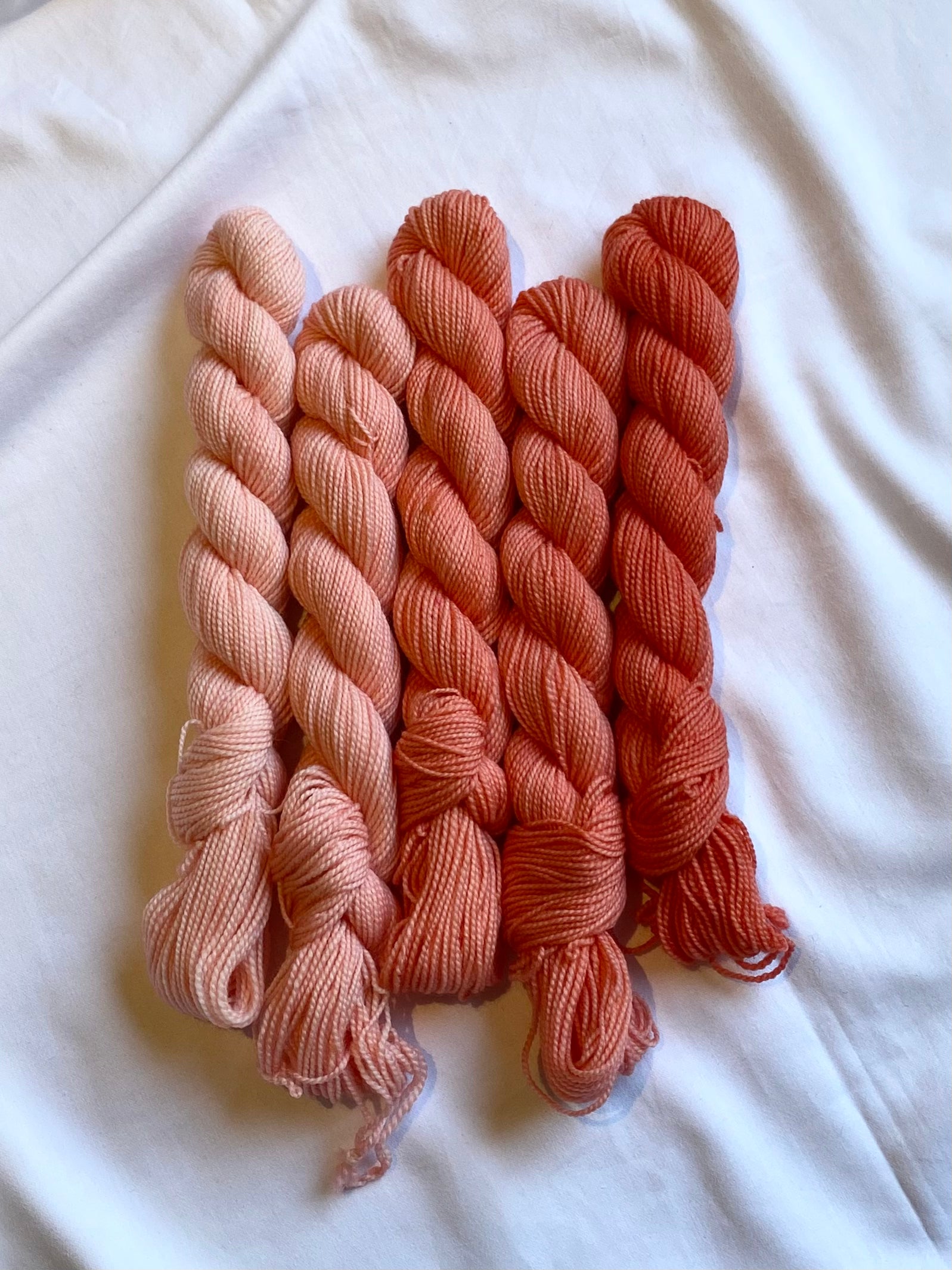Sock Minis: Fields Of Coral