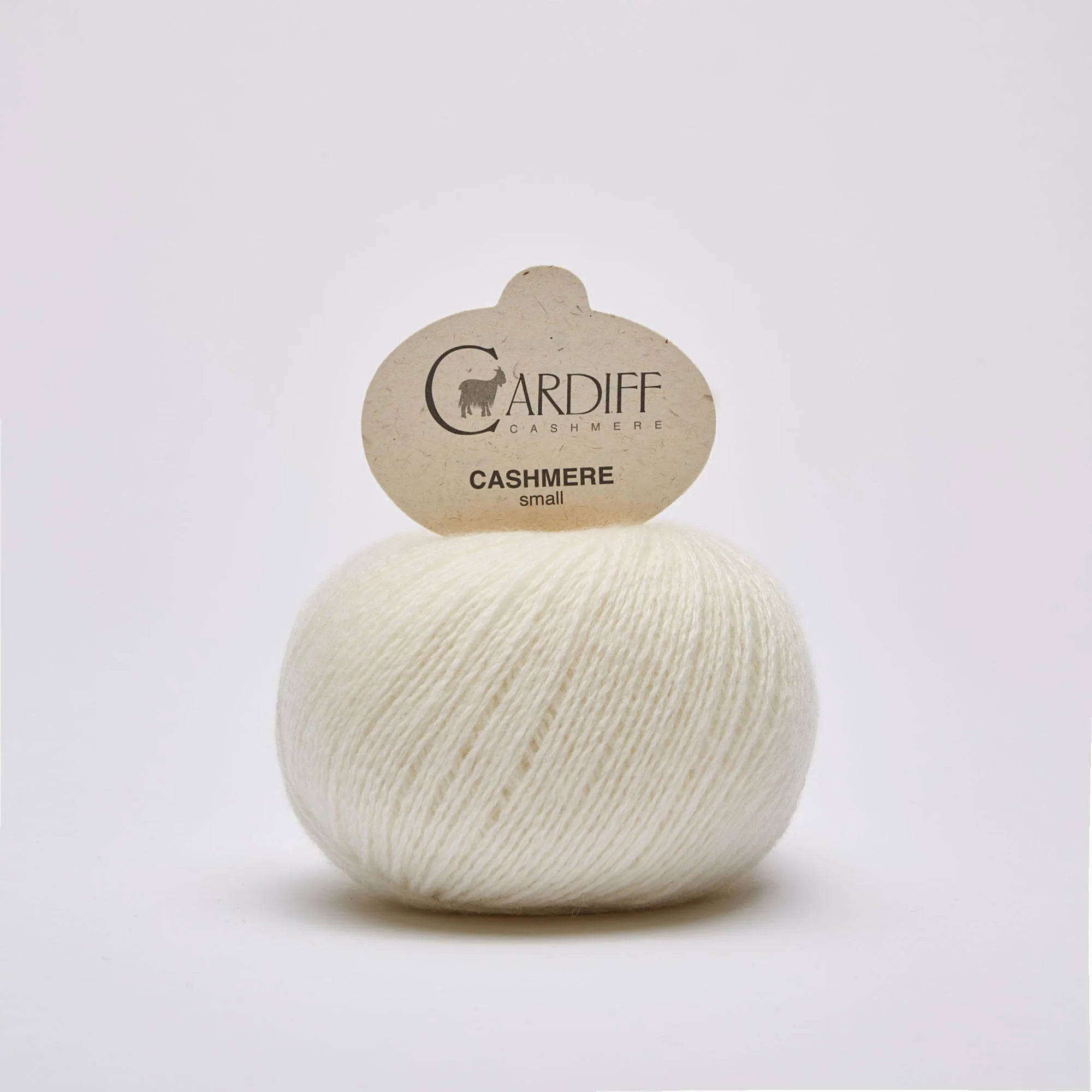 Cashmere Small: Neve (501)