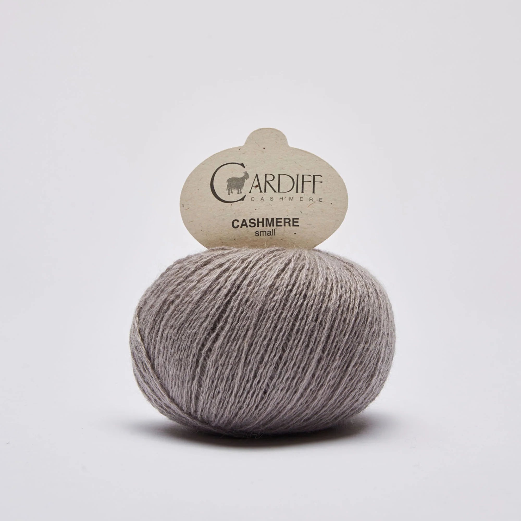 Cashmere Small: Galileo (532)